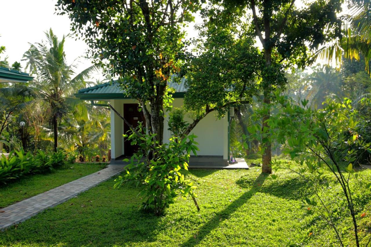 Hill View Resort Nakandalagoda 外观 照片